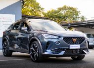 Cupra Formentor 2.0 TDI 150CV 4drive DSG