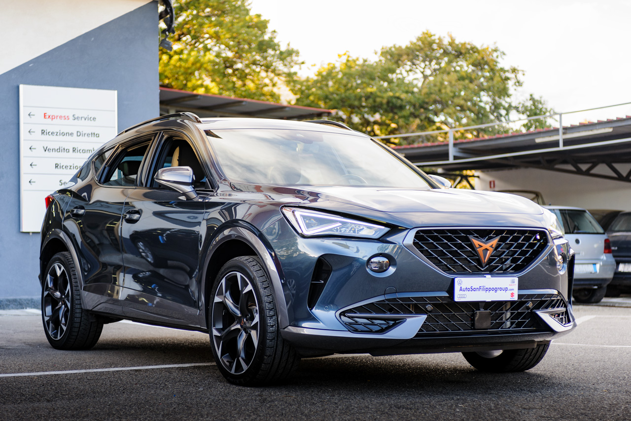 Cupra Formentor 2.0 TDI 150CV 4drive DSG