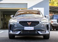 Cupra Formentor 2.0 TDI 150CV 4drive DSG