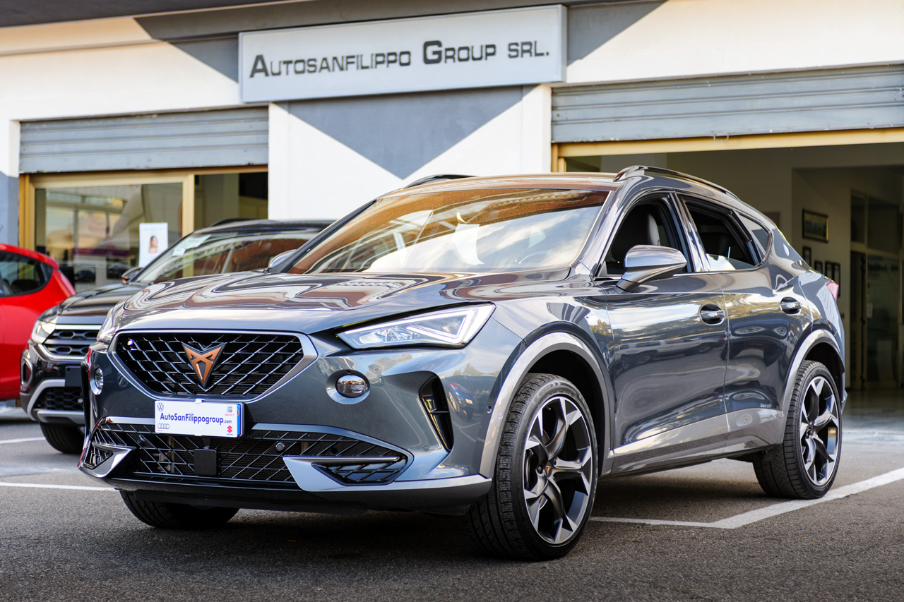 Cupra Formentor 2.0 TDI 150CV 4drive DSG