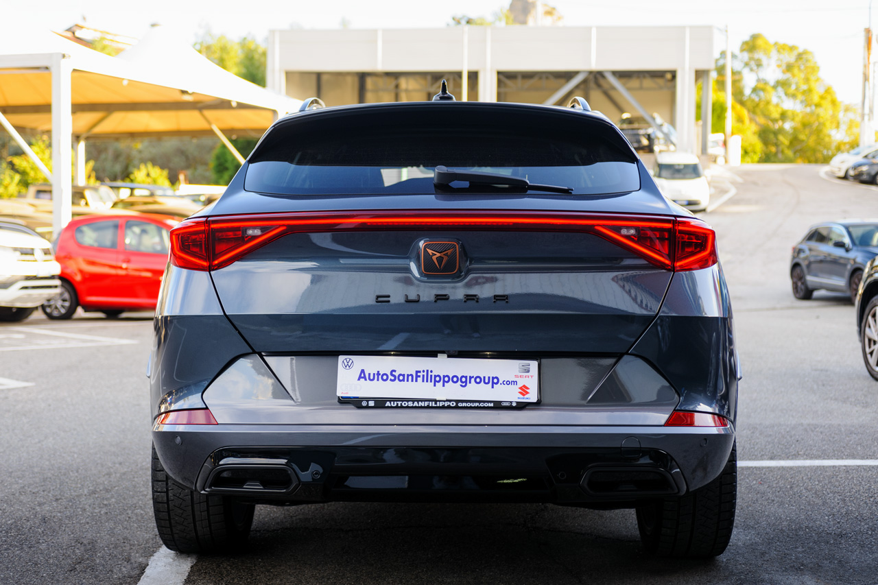 Cupra Formentor 2.0 TDI 150CV 4drive DSG