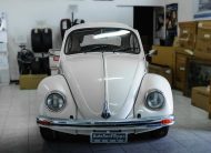Volkswagen Maggiolino