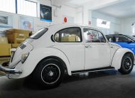 Volkswagen Maggiolino