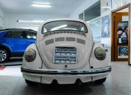 Volkswagen Maggiolino